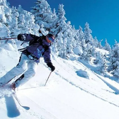 Marilen Otel Vorokhta